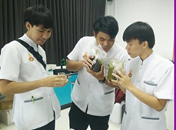 สาขาวิชาการแพทย์แผนไทยประยุกต์
ทำการวิจัยเจล ด้วยการสกัดสารจากแตงกวา
และใบบัวบก