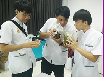 Applied Thai Traditional Medicine
Research Gel With the extract of
cucumber and Asiatic.