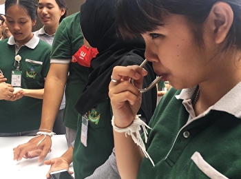 Active Learning
สอนโดยเน้นการเรียนรู้จากการฝึกปฏิบัติ