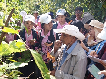 กิจกรรมเดินป่าศึกษาสมุนไพรและภูมิปัญญาหมอพื้นบ้าน
ให้กับนักศึกษาชั้นปีที่ 3