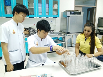 4th Year Research & Development
