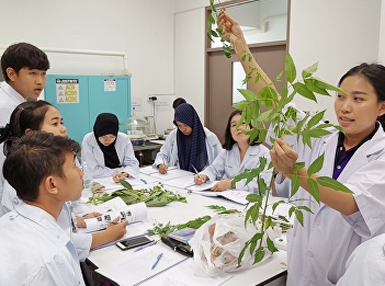 students of Department of Applied Thai
Traditional Medicine attended a Plant
Morphology laboratory class which was a
part of Medical Botany Course