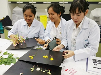 Applied Thai Traditional Medicine
sophomores who studied at College of
Allied Health Sciences, Suan Sunandha
Rajabhat University were anatomizing the
structure of flower as a part of Botanic
Program led