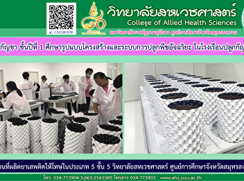 Get to know about the study of the
structure and system of smart planting
plants (Plant Factory) in cannabis
greenhouses.