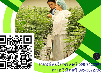 รอบรับตรงวิทยาลัยสหเวชศาสตร์
สาขาวิชากัญชาเวชศาสตร์