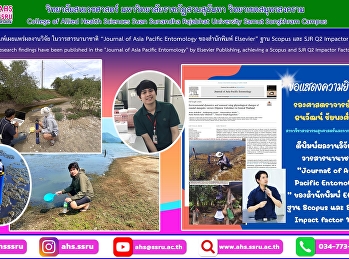 This study aims to monitor coastal
mosquito vectors in brackish water in
Samut Songkhram province