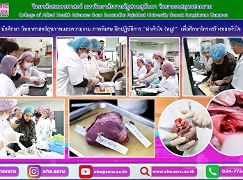 ฝึกปฏิบัติการ “ผ่าหัวใจ (หมู)”
เพื่อศึกษาโครงสร้างของหัวใจ
และส่วนประกอบต่างๆ