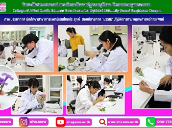 Atmosphere of the final exam 1/2024