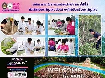 นักศึกษาสาขาวิชาการแพทย์แผนไทยประยุกต์
ชั้นปีที่ 2 เก็บตัวยาจากแหล่งธรรมชาติ
คัดเลือกตัวยาสมุนไพร
ส่วนต่างๆที่ใช้เป็นเครื่องยาสมุนไพร