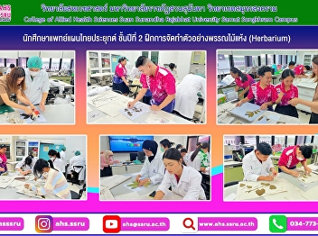 Second-year Applied Thai Traditional
Medicine students practice preparing
herbarium specimens.
